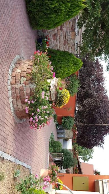 Le Gite 'Humulus' Bilwisheim Εξωτερικό φωτογραφία